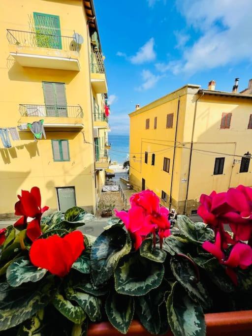 Maddy House - 50 Mt Dal Mare Villa Porto Santo Stefano  Eksteriør billede